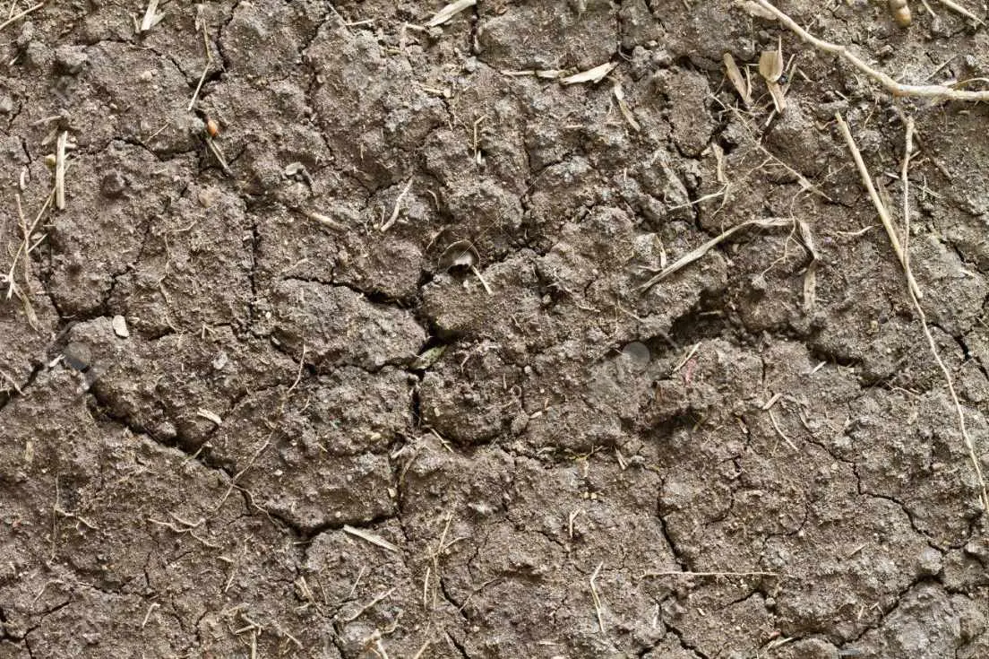 El campo pide agua