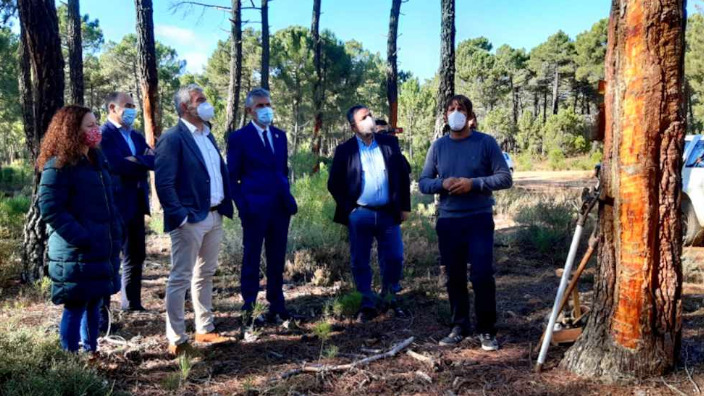 Imagen visita de Diputación, 13 de Octubre de 2020