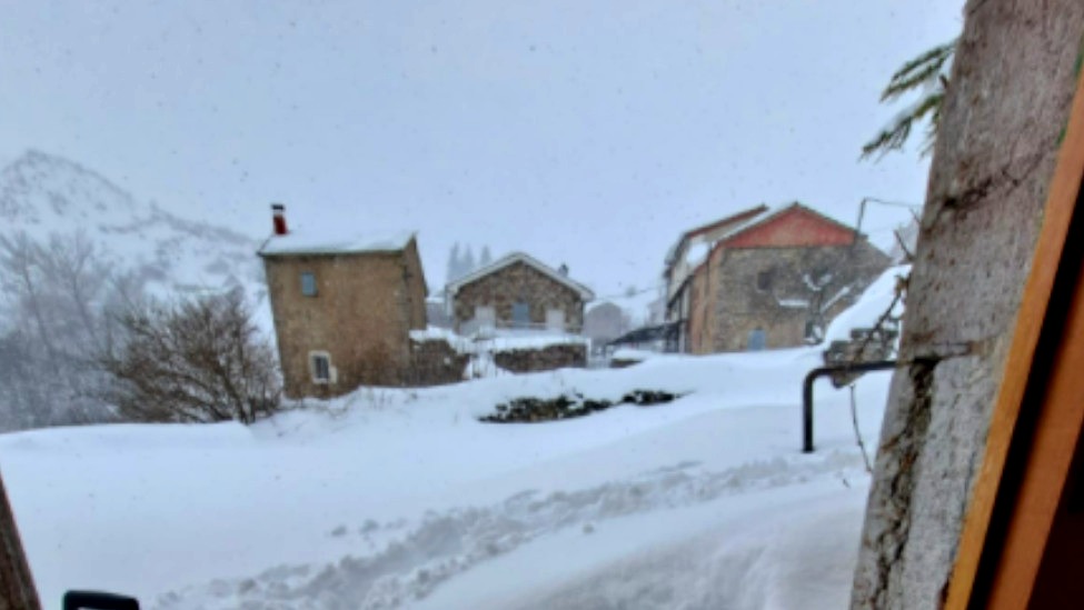 Nevada en León