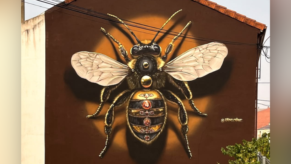 ¡La Bañeza busca el Trono Mundial! La