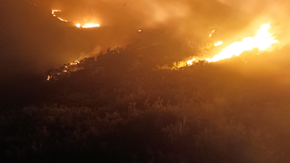 Suárez-Quiñones admite 