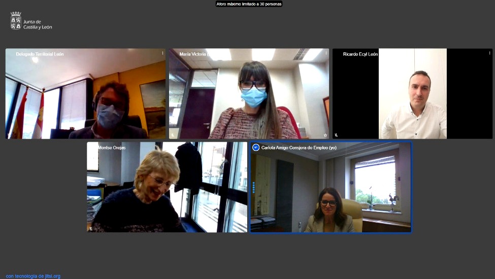 Captura de pantalla de la reuni&oacute;n telem&aacute;tica