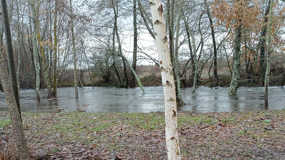 MÁXIMA ALERTA: Día crítico por inundaciones con el Órbigo y el Tuerto en nivel rojo