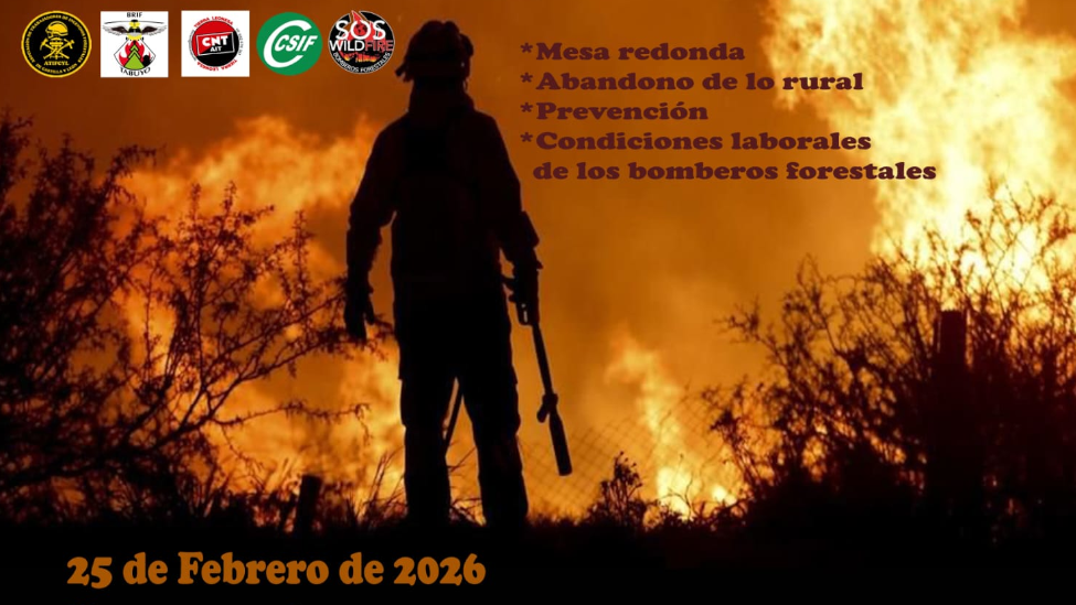 Expertos y bomberos forestales analizan la crisis de los incendios en una jornada técnica en La Bañeza