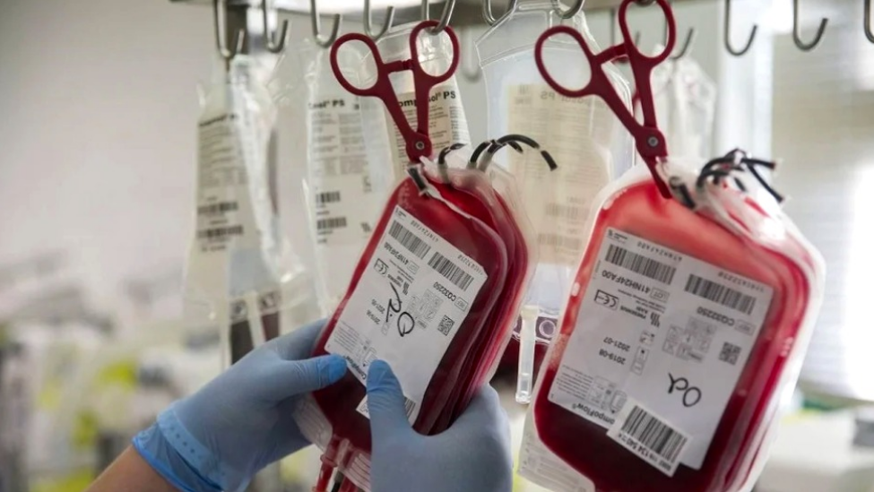 Nuevas normas para donar sangre, se podrán realizar hasta seis extracciones anuales