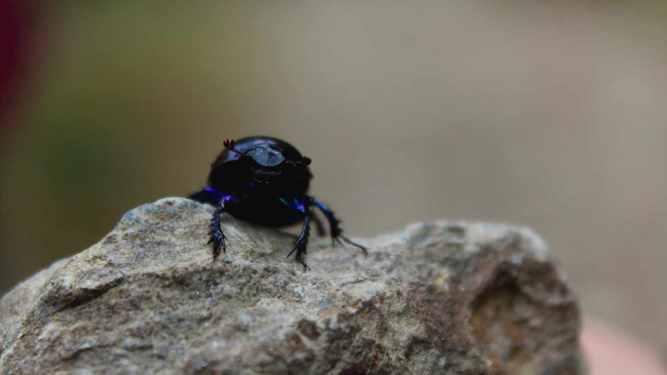 Foto de Miguel Aragón