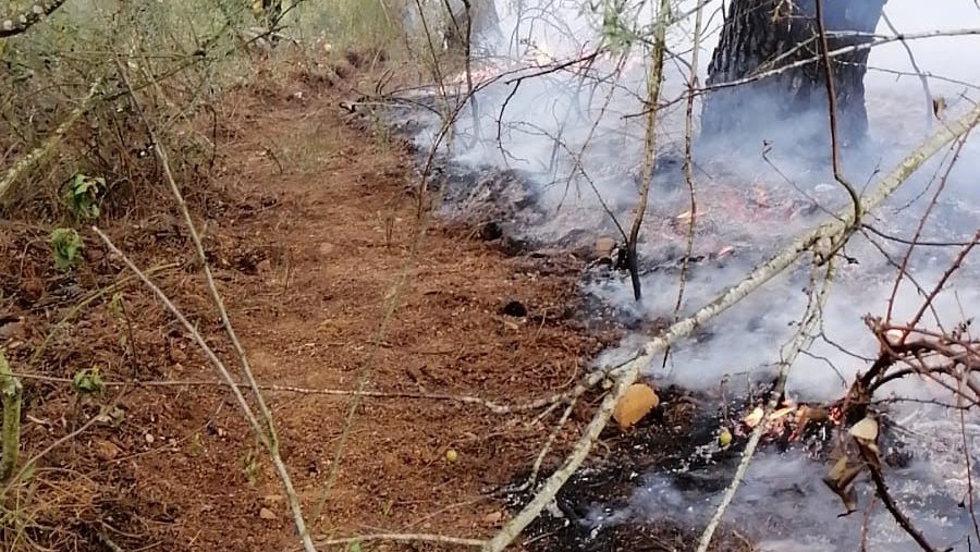 Superficie quemada en Quintanilla de Florez. BRIF TABUYO