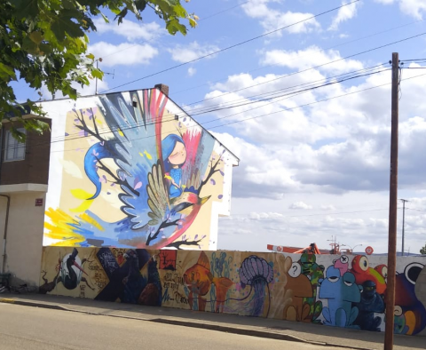 Art Aero Rap - Julieta XLF