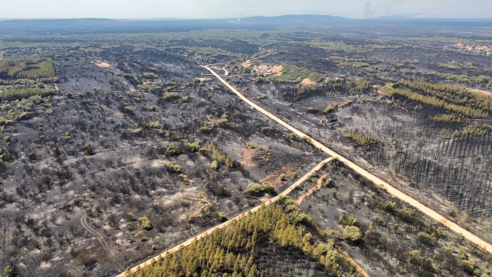 Las Cortes aprueban la iniciativa anti-incendios de UPL con la abstención del PP