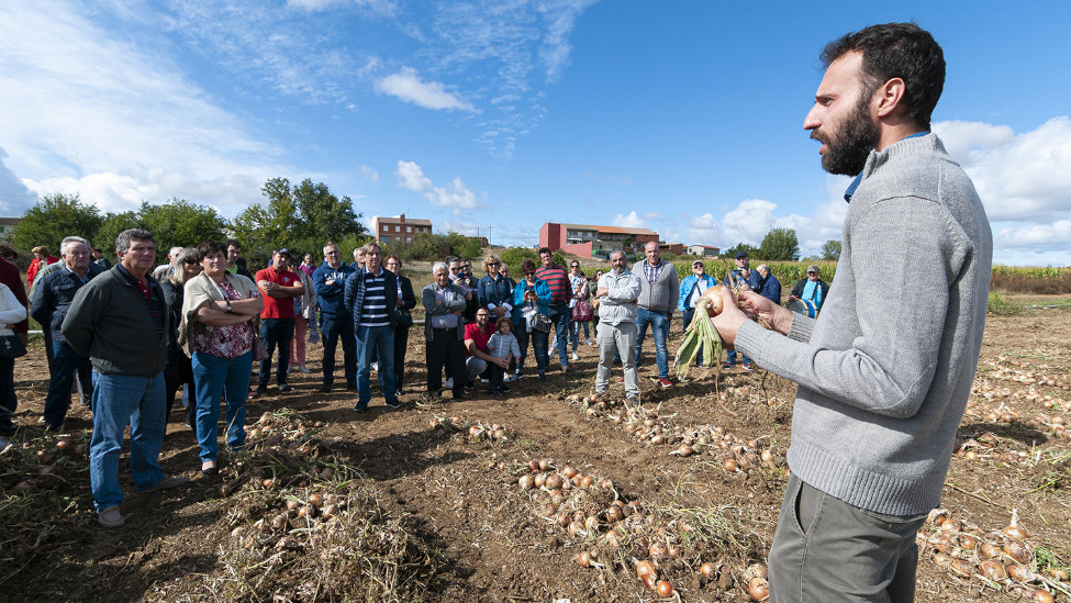 La cebolla volverá a ser protagonista en Villanueva de Jamuz en un evento para dinamizar la comarca