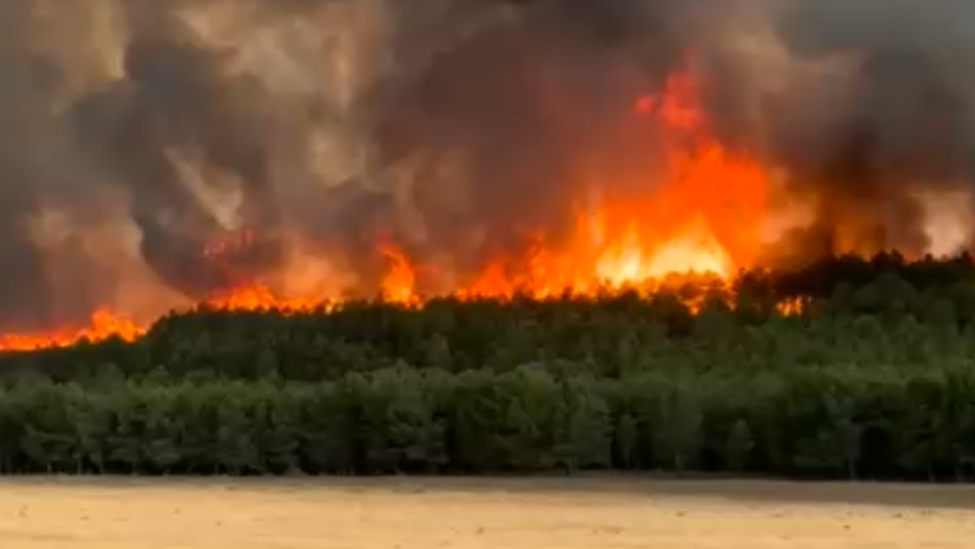 La advertencia del catedrático Víctor Resco: La ola de incendios de 2025 