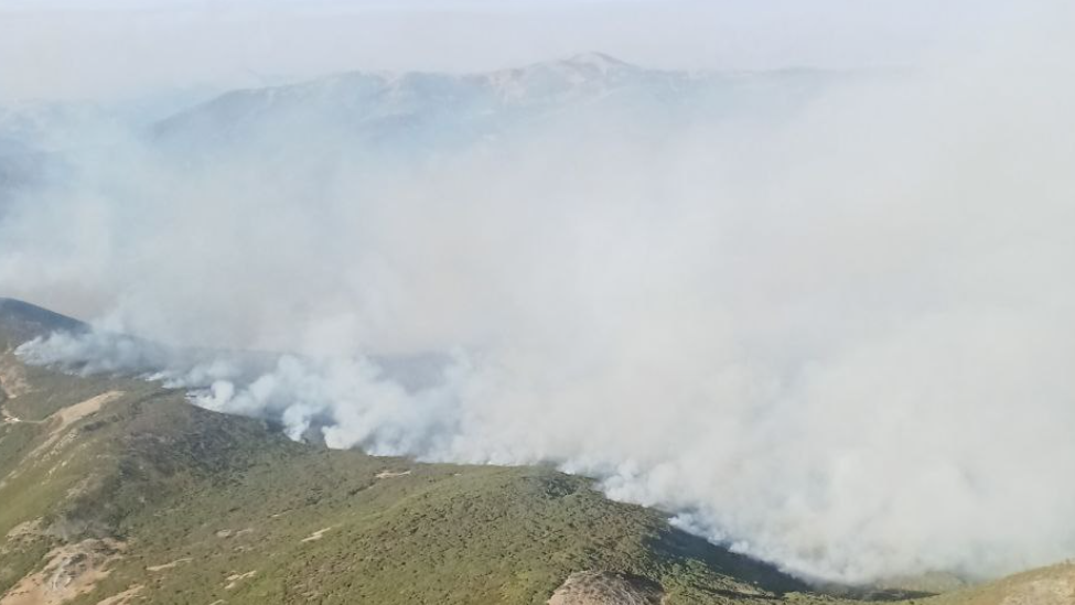 Un incendio en Pendilla de Arbas (Villamanín) obliga a movilizar medio centenar de efectivos