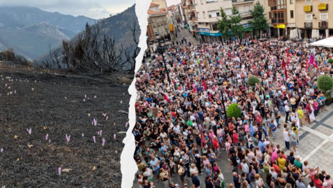 Nace la Plataforma “Tierras Quemadas de La Bañeza y Comarca” para la recuperación de la comarca tras los incendios
