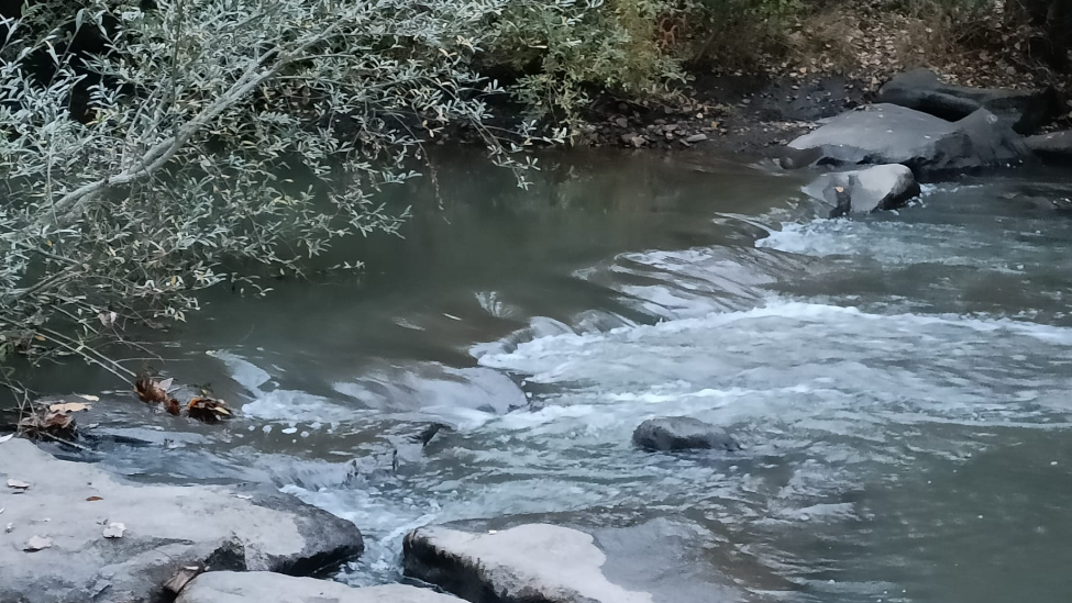 UPL lamenta la inacción de la Junta para evitar la contaminación de aguas por las cenizas generadas por los  incendios forestales de este verano