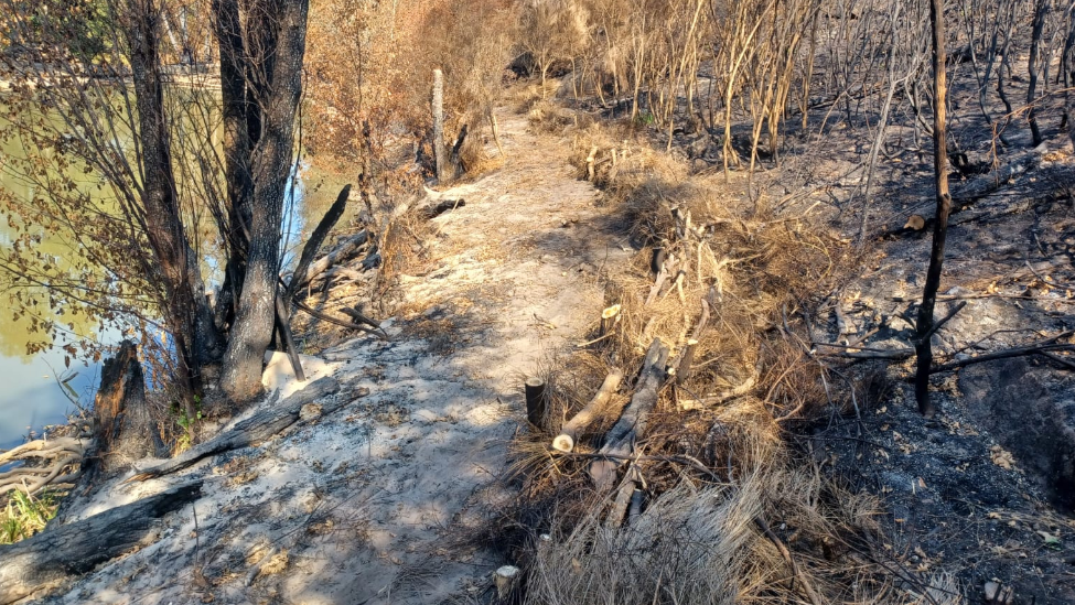 Jornada de Hacendera: La Asociación Tierras Quemadas convoca voluntariado para salvar de la ceniza el río Eria