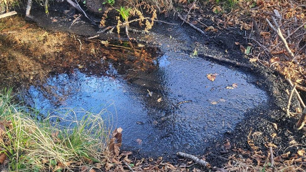 Las cenizas afectan ya a cuatro acuíferos en León, según la CHD