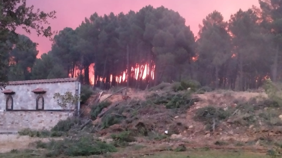 Destinan 3,15 M€ para la restauración hidrológico-forestal en zonas incendiadas de León y Zamora