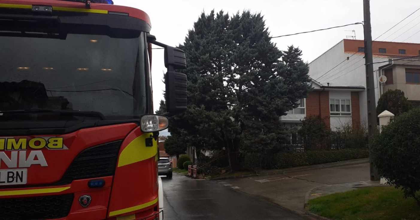Los Bombero intervienen en la caída de un árbol en La Bañeza y en un vuelco de un camión en la CL-621
