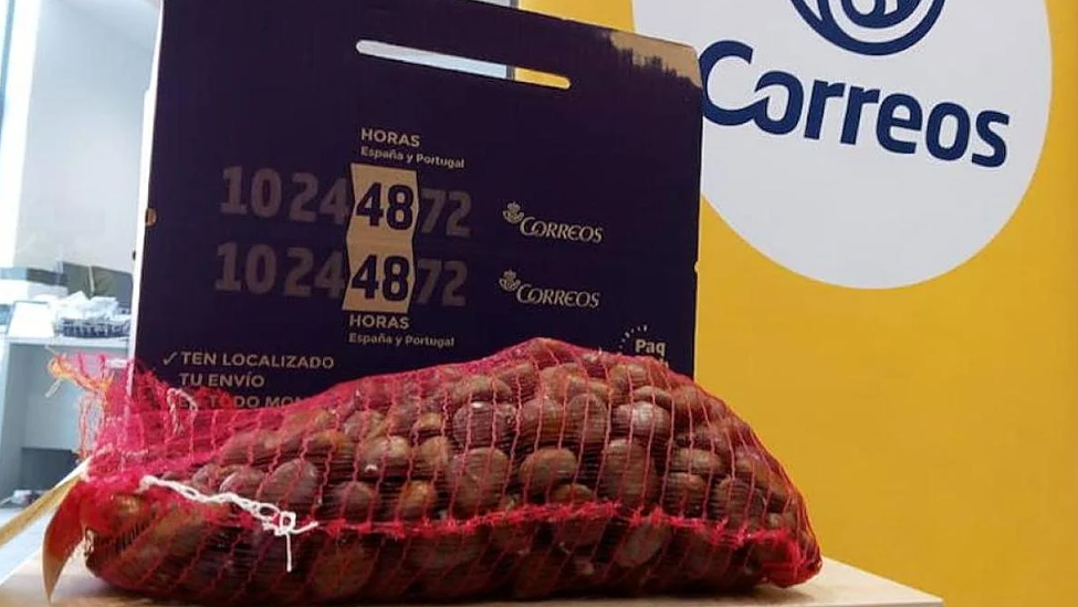 Los vecinos del Bierzo, Villablino y La Bañeza envían con Correos más de 5 toneladas de castañas