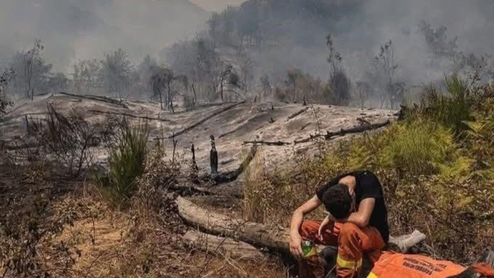 La ULE convoca el concurso fotográfico ‘Memoria de los incendios en León’ para preservar el recuerdo del patrimonio arrasado