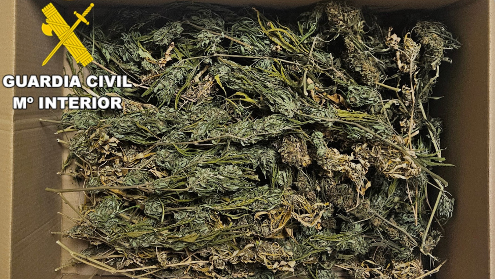 Investigado por un delito contra la salud pública en Toral de los Vados